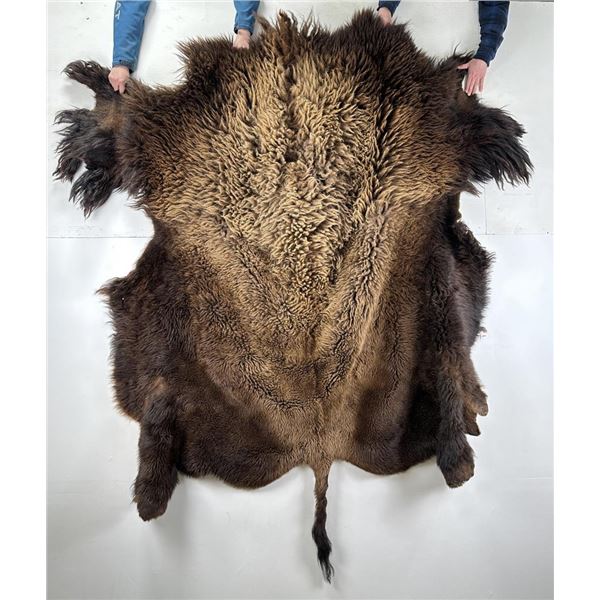 Large Taxidermy Montana Buffalo Hide Robe Rug