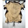 Image 2 : Large Taxidermy Montana Buffalo Hide Robe Rug