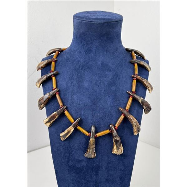 Plains Indian Buffalo Tooth Necklace