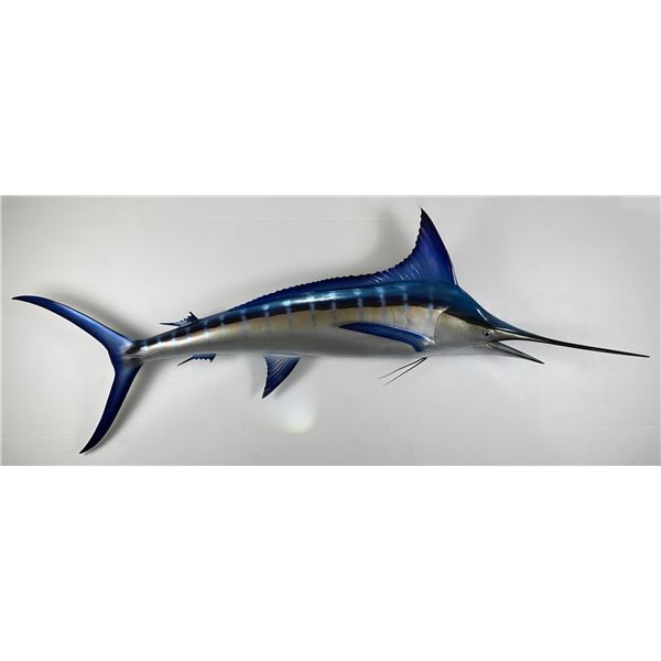 Gigantic Taxidermy Blue Marlin Mount