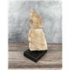Image 3 : Stone Carving To Harry Andrew Jackson