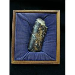 5" piece of dark brown fossilized walrus ivory (3)