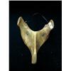Image 1 : 7" animal mask made of bone (3)