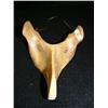 Image 2 : 7" animal mask made of bone (3)