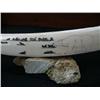 Image 2 : Scrimshawed Ivory Tusk 23" by Qualhapak, bears, walruses, whale and done in Old Bering Sea style, mo