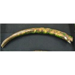 32" Baby mamoth tusk, High Quality Ivory, Great Speciman Piece