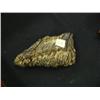 Image 1 : 7" Mammoth Tooth
