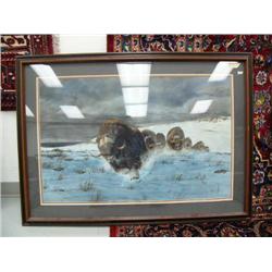 Original Charles Gause watercolor of musk ox done in 1980, triple matted and framed- 26" x 38", mini