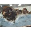 Image 2 : Original Charles Gause watercolor of musk ox done in 1980, triple matted and framed- 26" x 38", mini
