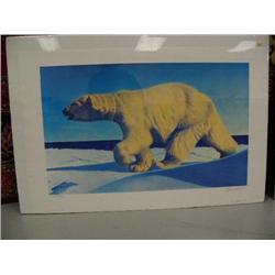 529 of 950 shrink wrapped print of polar bear by Fred Machetanz, 19" x 31" (74)