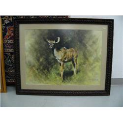 matted and in wood frame print of striped African deer by David Shepherd, 21-1/2" x 30" (3)