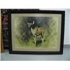 Image 1 : matted and in wood frame print of striped African deer by David Shepherd, 21-1/2" x 30" (3)