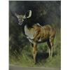 Image 2 : matted and in wood frame print of striped African deer by David Shepherd, 21-1/2" x 30" (3)