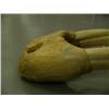 Image 6 : 30" female walrus head mount, ca. 1960, scrimshawed with walruses-seals-hunter on right tusk, left t