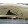 Image 8 : 30" female walrus head mount, ca. 1960, scrimshawed with walruses-seals-hunter on right tusk, left t