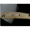 Image 9 : 30" female walrus head mount, ca. 1960, scrimshawed with walruses-seals-hunter on right tusk, left t