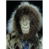 Image 2 : CHOICE on two 23" seal skin doll with ivory face by Maria Anariak of Togiak