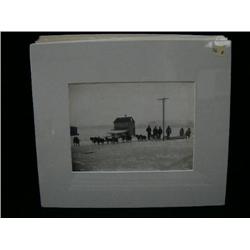 CHOICE on 11 original photographs of Alaska: (e) F. H. Nowell of P.D.. Olsen's US Mail team Nome (3)