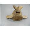 Image 2 : 24" hundred+ year old whale bone vertebrae (3)