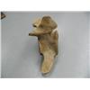Image 3 : 24" hundred+ year old whale bone vertebrae (3)