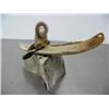 Image 2 : 19" whale bone kayaker by Michael Scott