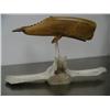 Image 1 : 18" whale bone whale by Michael Scott