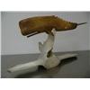 Image 2 : 18" whale bone whale by Michael Scott