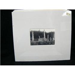 CHOICE on 11 original photographs of Alaska: (c) totem poles in Tlingit village (3)