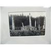Image 2 : CHOICE on 11 original photographs of Alaska: (c) totem poles in Tlingit village (3)