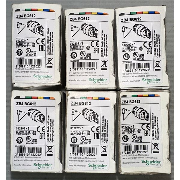 Lot of (6) Schneider Electric #ZB4-BG612 Heads for Key Selector Switch