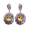 Image 1 : Natural Citrine Rhodolite Garnet Earrings