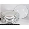 Image 1 : LOT OF 11 DINNER PLATES AROUND 9 1/2" DIA