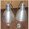 Image 1 : TWO INDUSTRIAL LOOK LIGHT FIXTURES