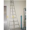 Image 1 : LADDER