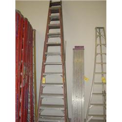 12 STEP LADDER