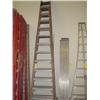 Image 1 : 13 STEP LADDER
