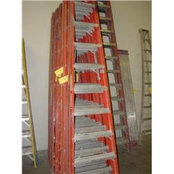 10 STEP LADDER