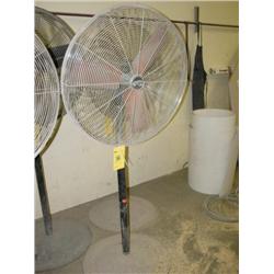 SHOP FAN