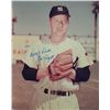 Image 1 : Ed Lopat signed photo