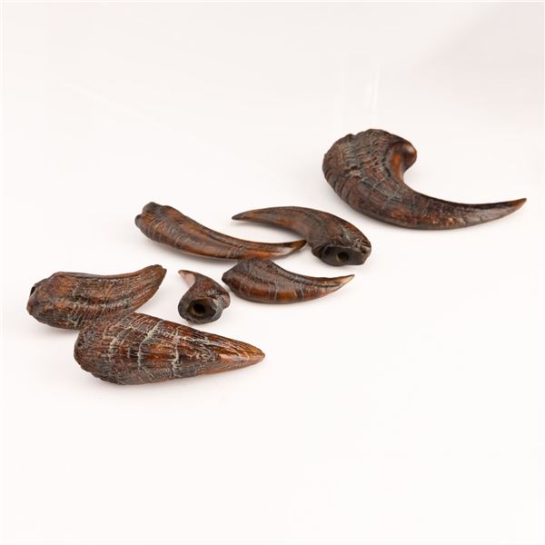 Jurassic Park (1993) - Original Raptor Claw Set