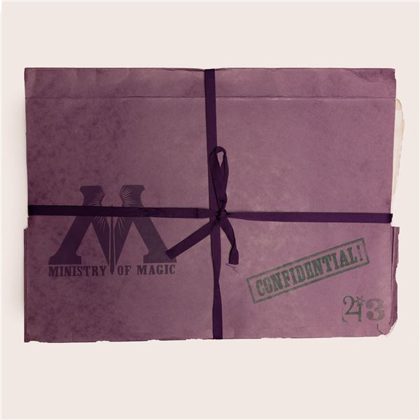 Harry Potter and the Order of the Phoenix (2007) - Ministry of Magic Folder