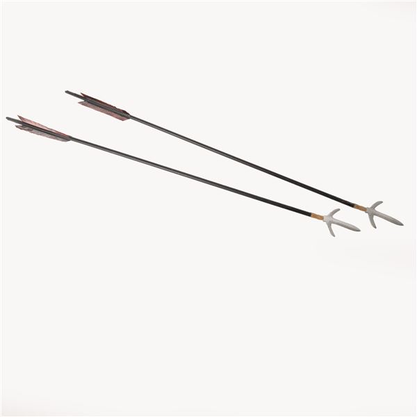 Bram Stoker's Dracula (1992) - Original Arrow Set