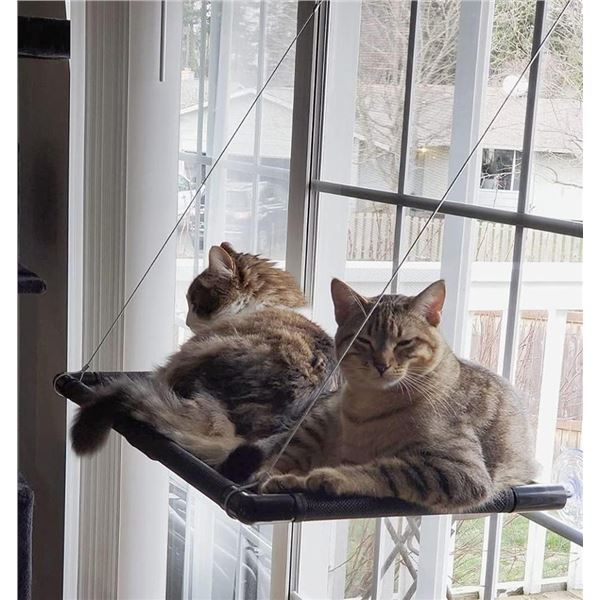 Window hanging cat hammock
