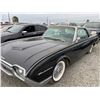 Image 1 : 1961 FORD THUNDERBIRD