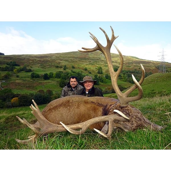 Scotland Red Stag Hunt