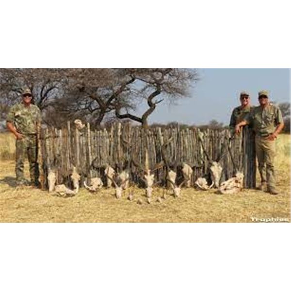 Namibia Hunting
