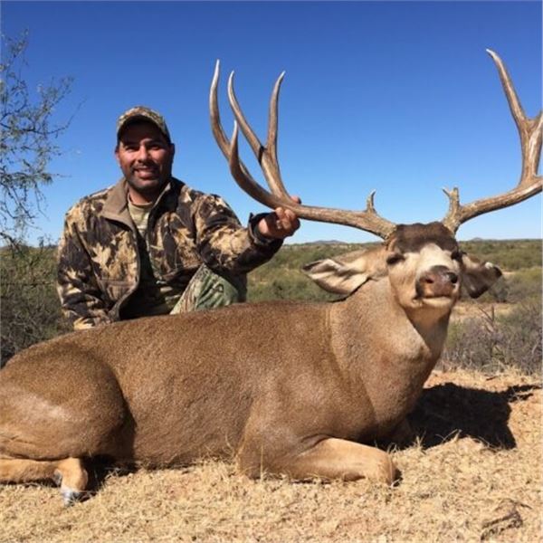 Sonora Mexico Mule Deer Hunt
