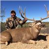 Sonora Mexico Mule Deer Hunt