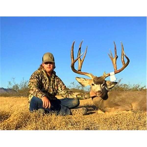 Arizona archery mule deer hunt