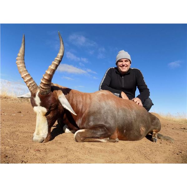 1 hunter, 1 observer included and trophy fees forblesbuck or impala and blue wildebeest or gemsbuck